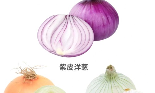 熟地黄的功效作用网—知名的熟地黄的功效作用与主治禁忌网站,分享熟地黄的功效作用与禁忌知识