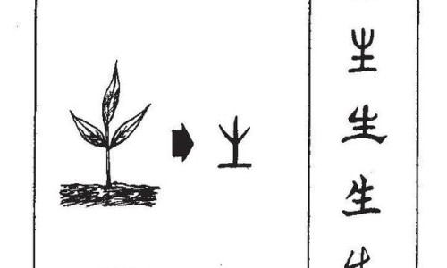 熟地黄的功效作用与禁忌-熟地黄的功效作用网—知名的熟地黄的功效作用与主治禁忌网站,分享熟地黄的功效作用与禁忌知识